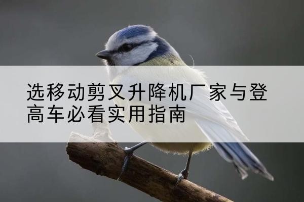 光山电动升降机厂家-选移动剪叉升降机厂家与登高车必看实用指南