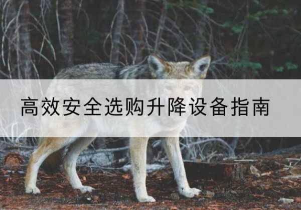 光山升降货梯厂家推荐-*安全选购升降设备指南